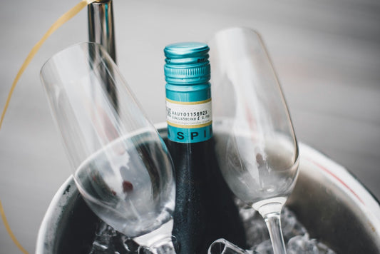 12 Best Wine Chillers We Tried For Perfectly Chilled Vino
