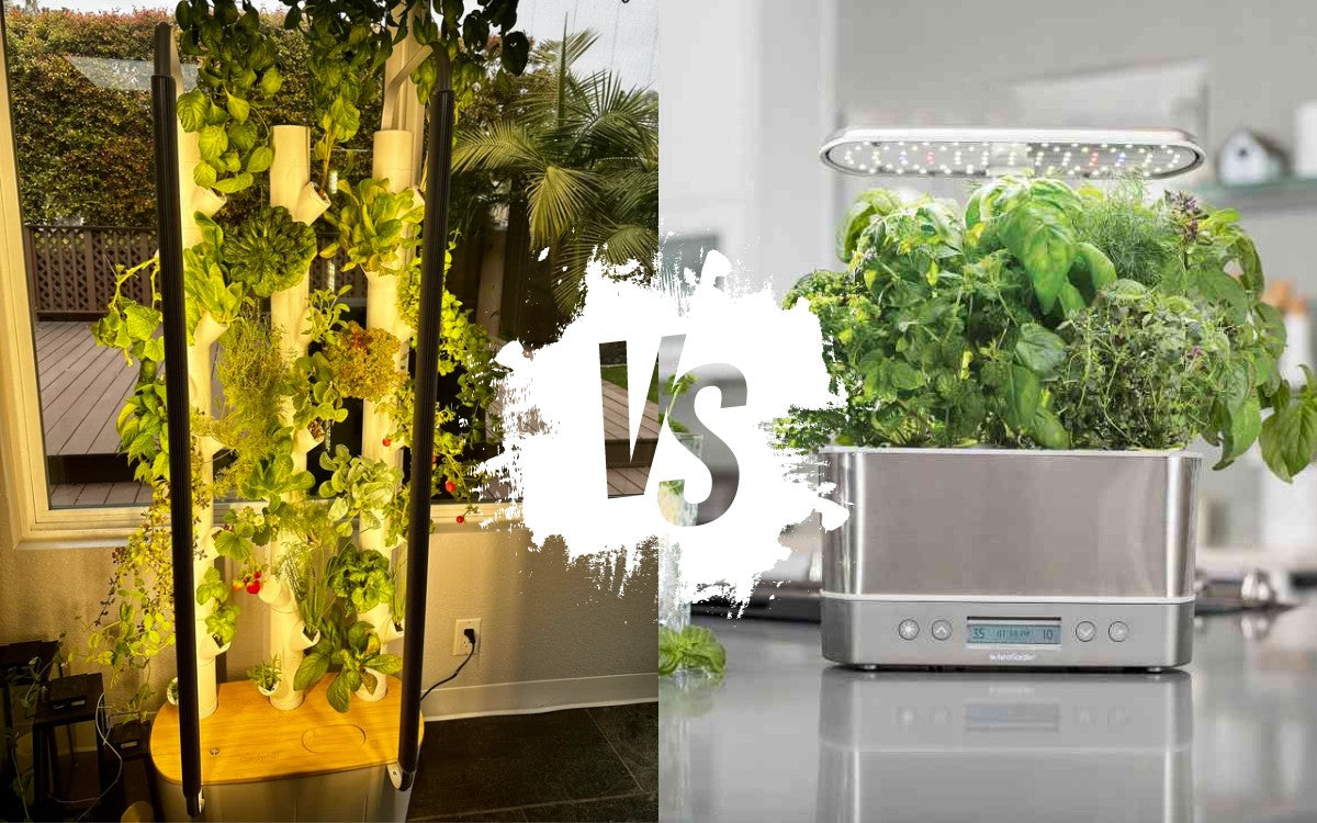 Gardyn vs Aerogarden