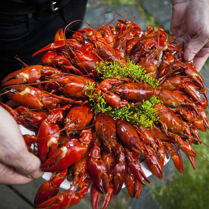 Crawfish on a plate