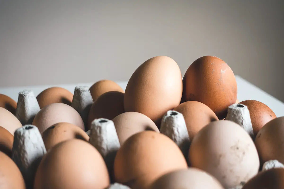 Fresh eggs in their egg carton.