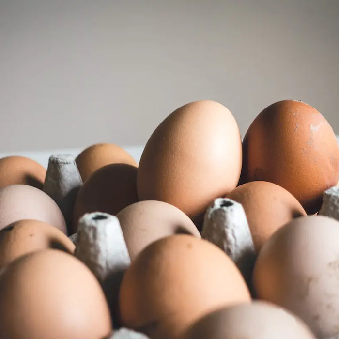 Fresh eggs in their egg carton.