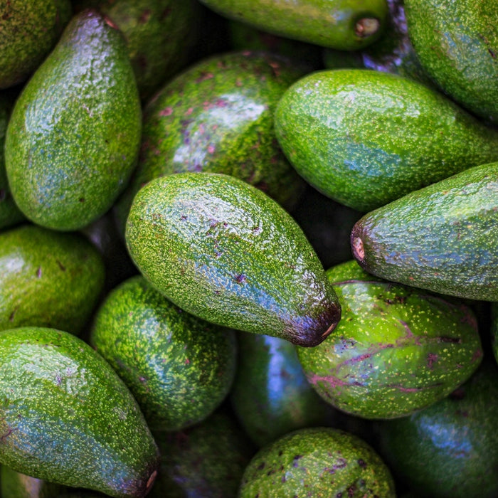 Bundle of avocados.