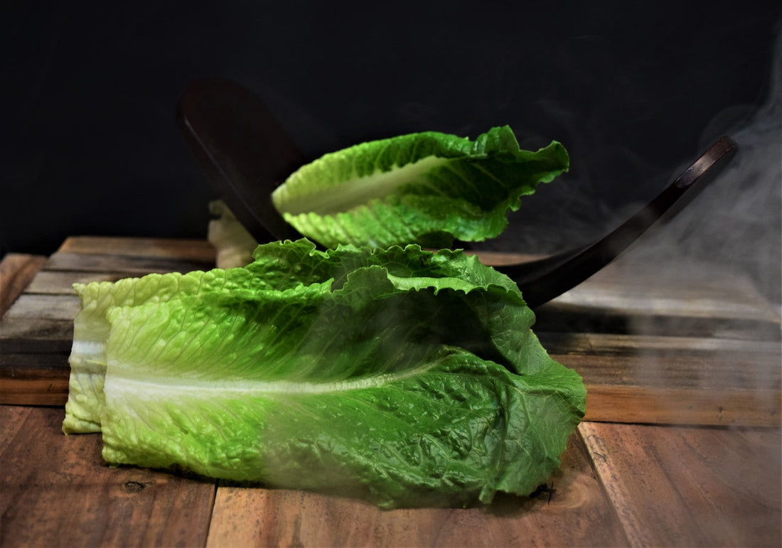 Gem lettuce