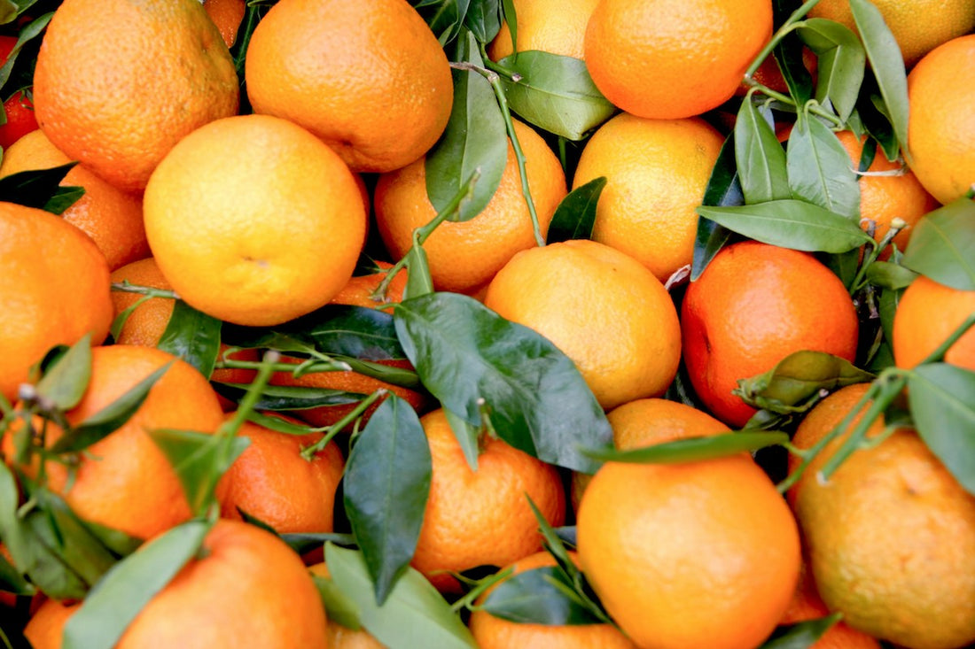 Fresh oranges and how oranges SHOULD look like