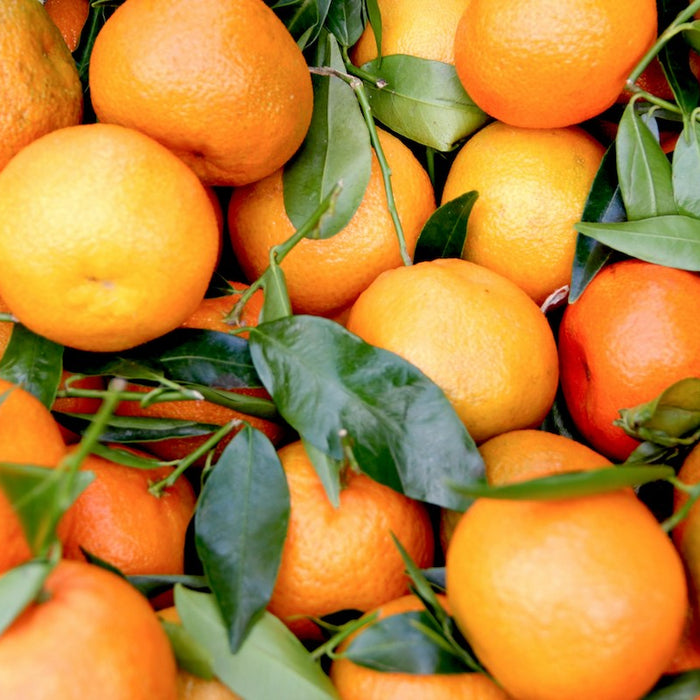 Fresh oranges and how oranges SHOULD look like