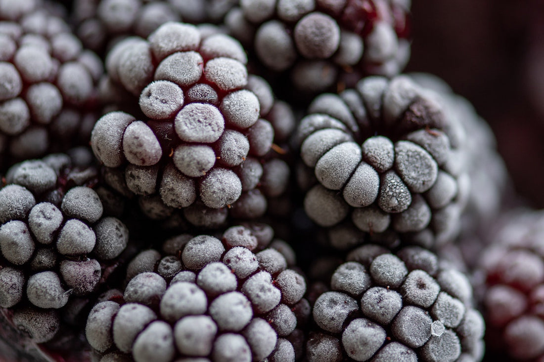 How Long Does Frozen Fruit Last? Picture of frozen blackberries.
