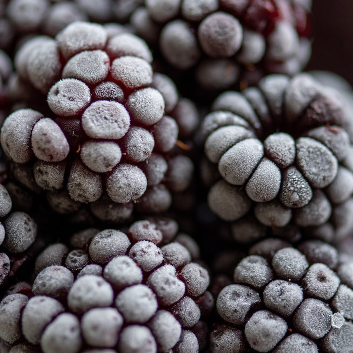 How Long Does Frozen Fruit Last? Picture of frozen blackberries.