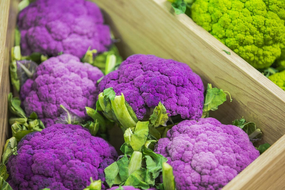 Purple broccoli