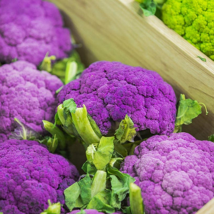 Purple broccoli