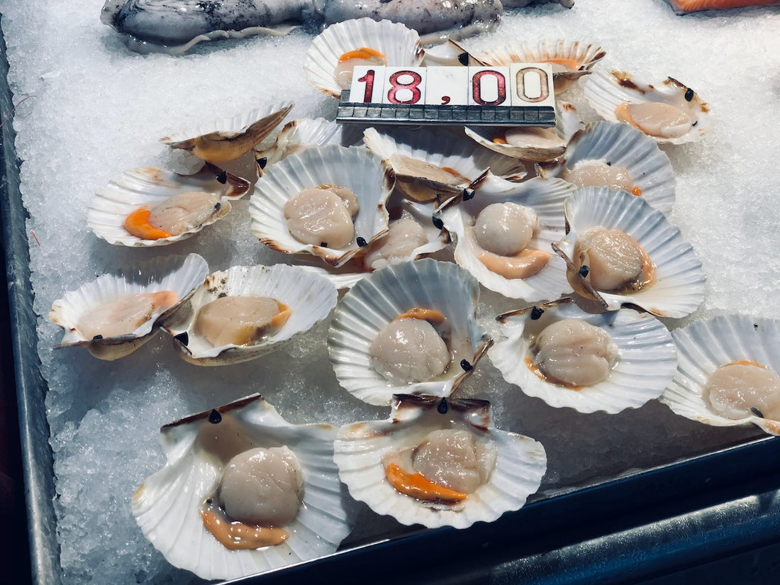 Scallops at a marketplace