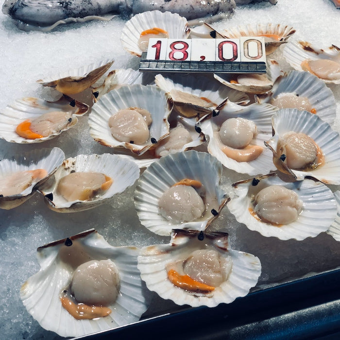 Scallops at a marketplace