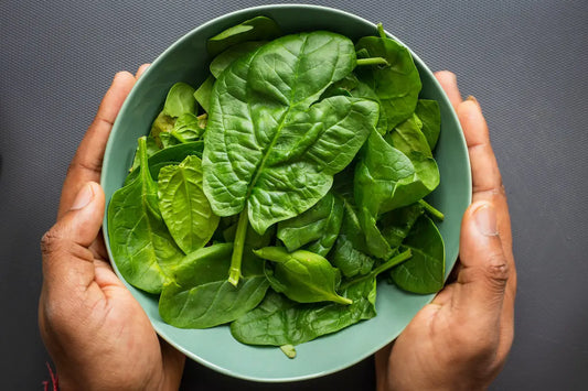 A bowl of bright green spinach.