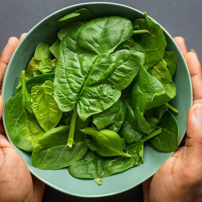 A bowl of bright green spinach.