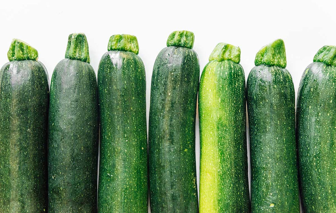 Zucchini lined up