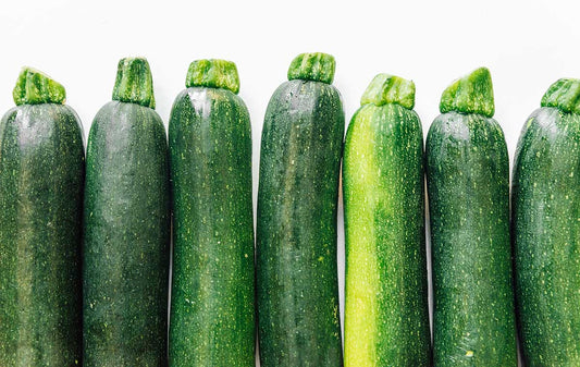 Zucchini lined up