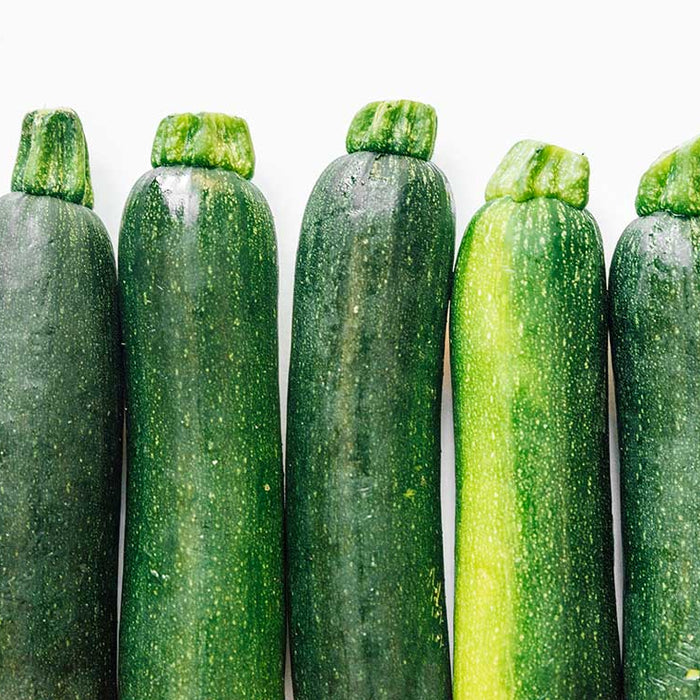 Zucchini lined up